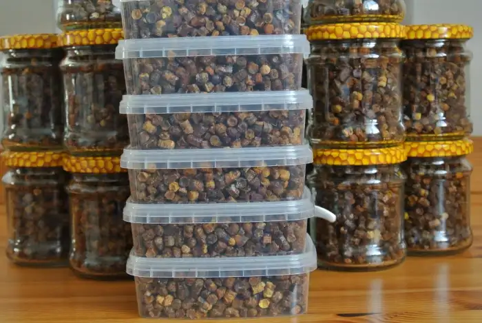 Perga ve vaničkách