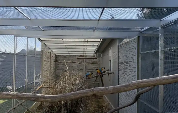 Stále s rodiči ve voliéře.