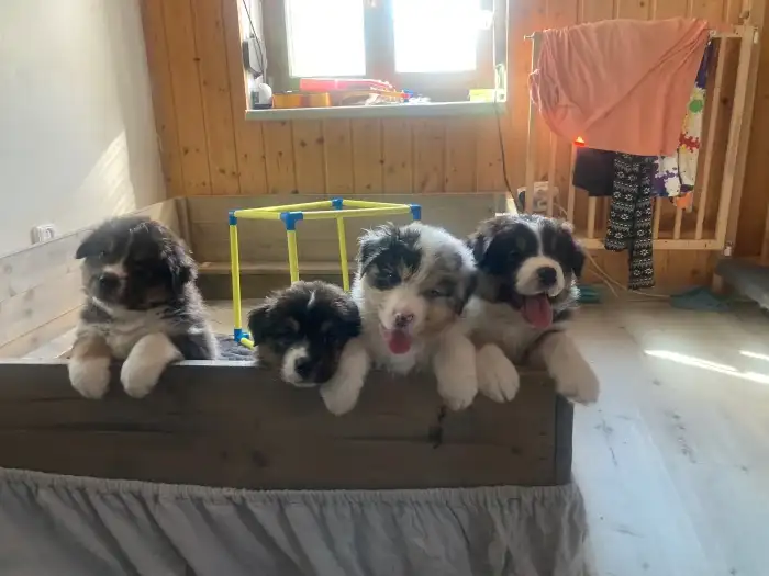 zleva: Eda, Emil, Erik, Enzo