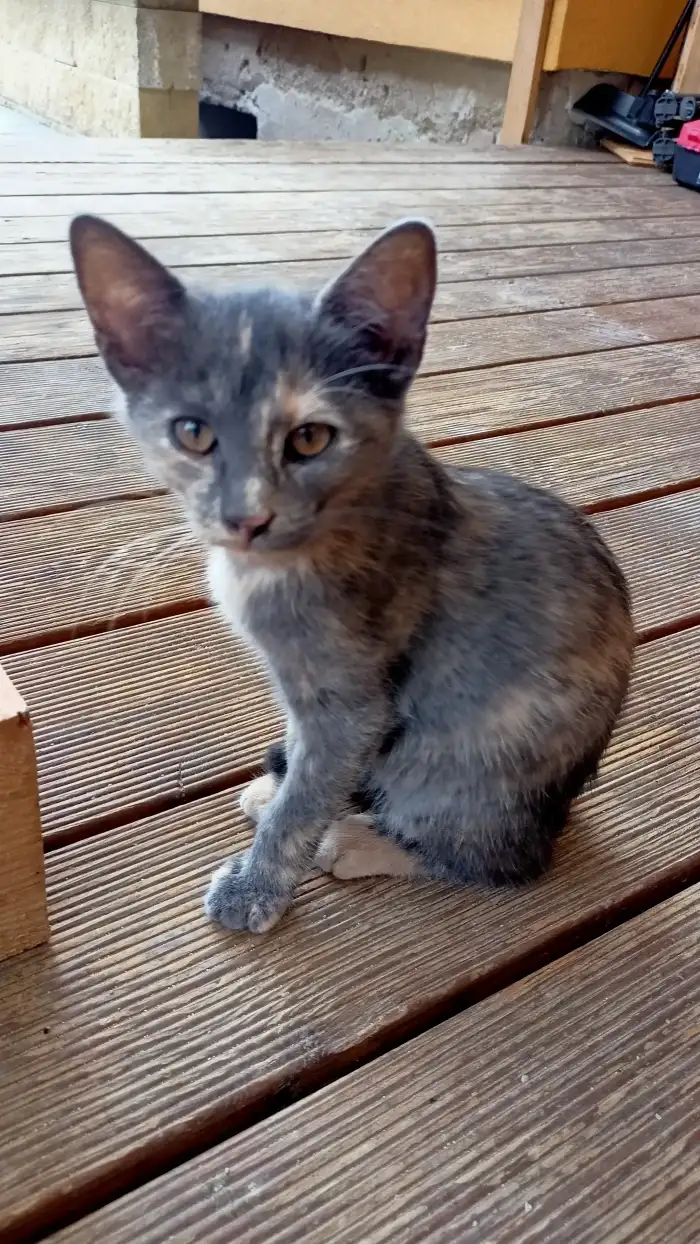 Nyní