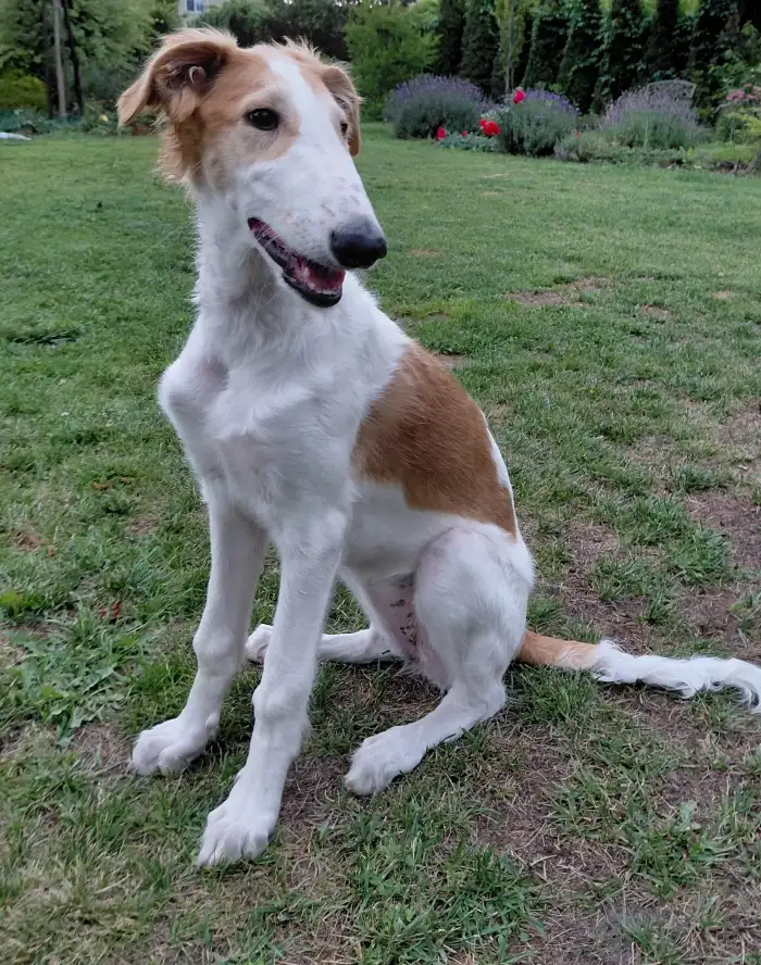 Aksana 4 months
