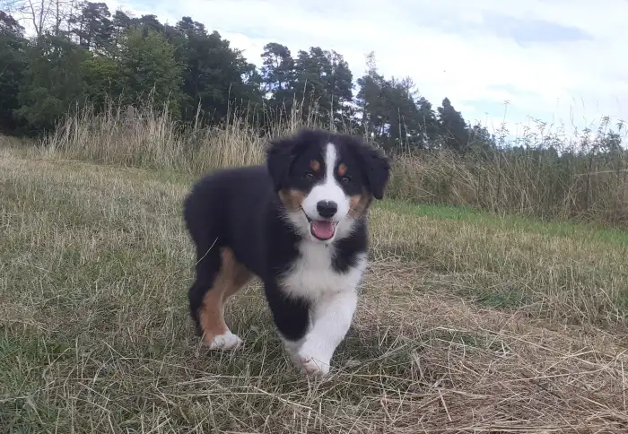 Ellie