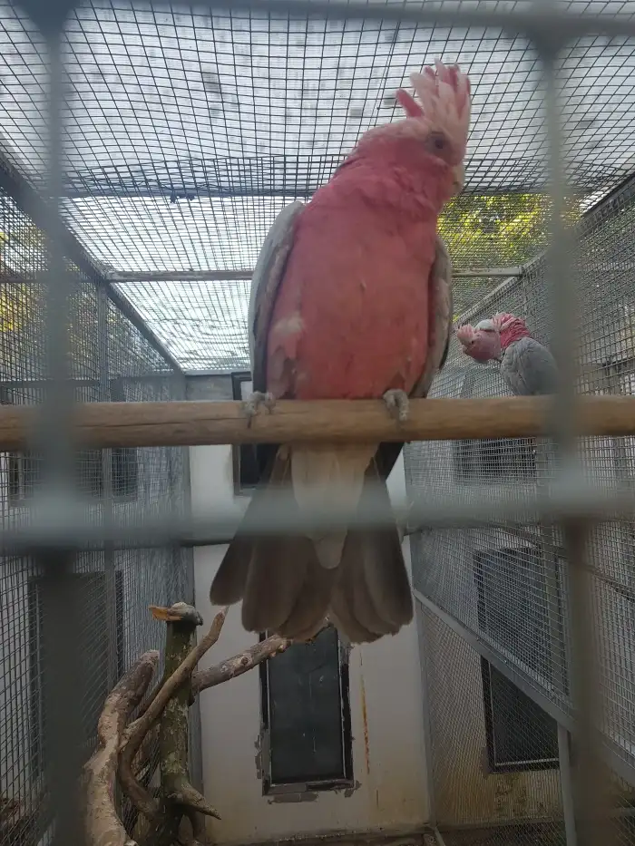 Matka