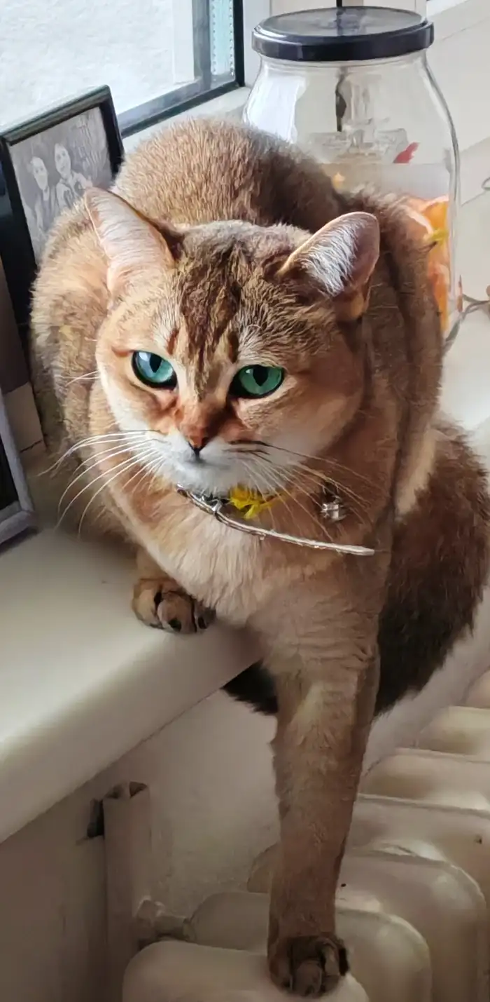 Číča Smaragda🌷