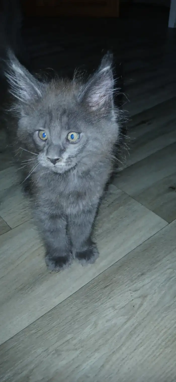 Abby