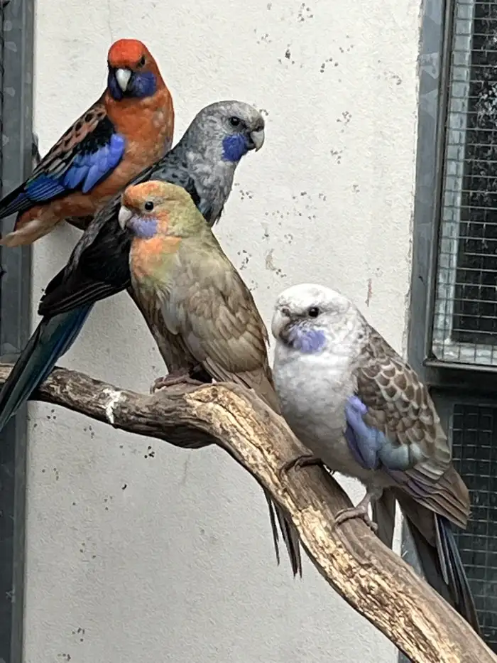 Na krajích sedí rodiče