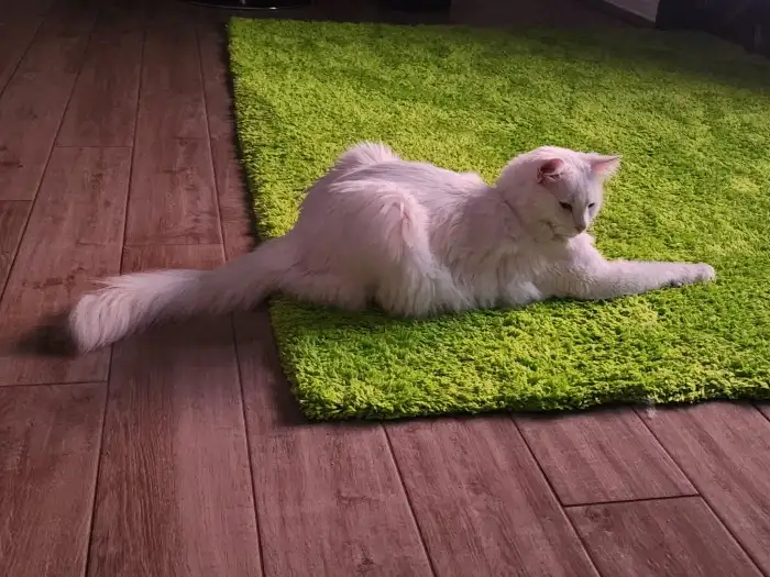 Umí být i zamyšlený.