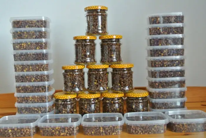 Plástový pyl Perga