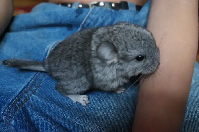 Pár dní po narození.