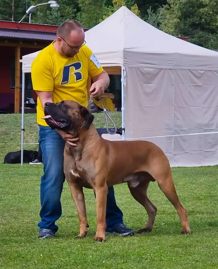 Jaguar Legenda Afriki