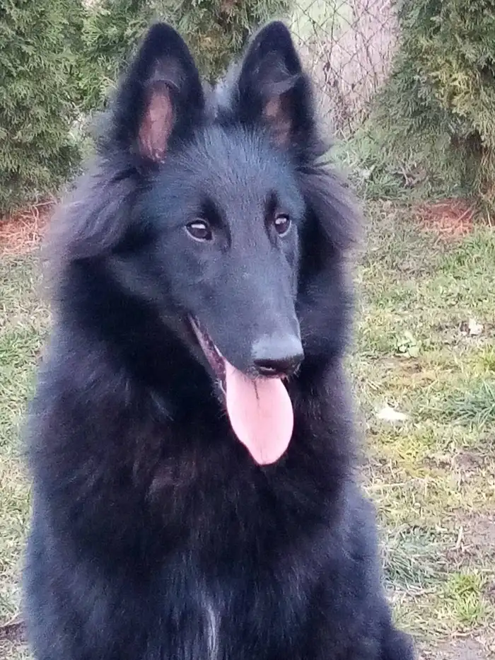 matka