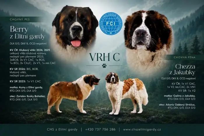 VRH C