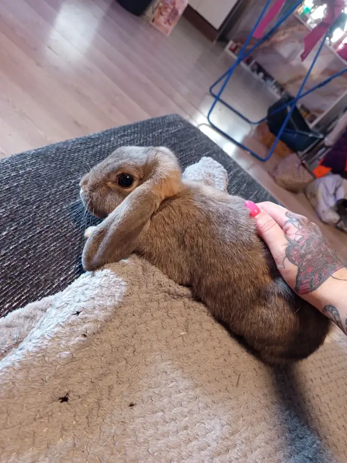 Winnie