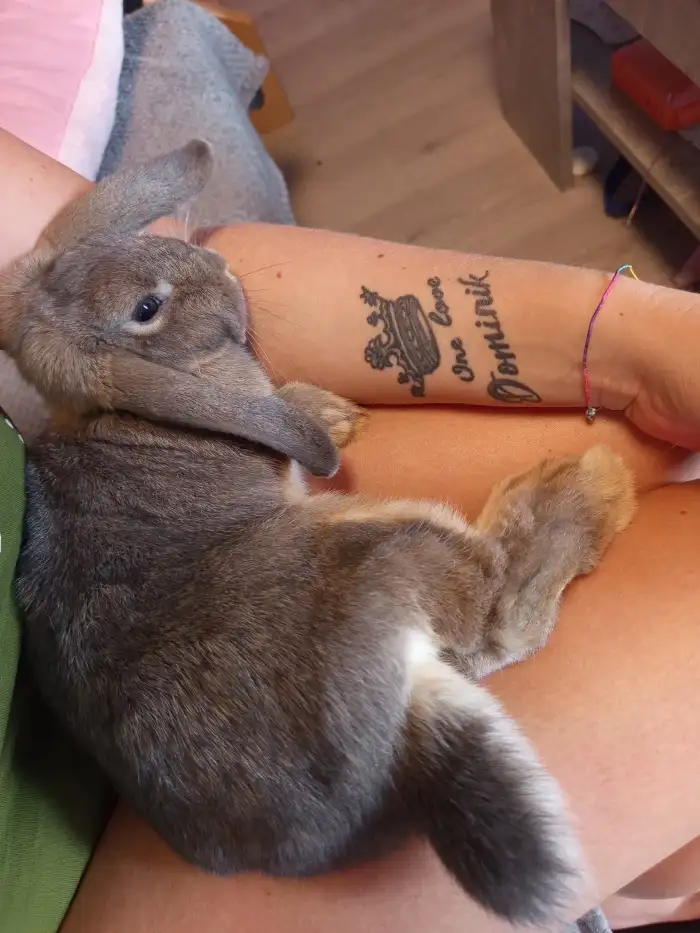 Winnie