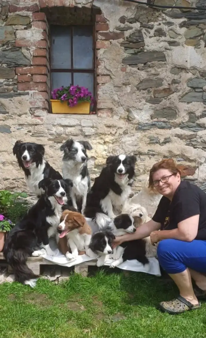 Giny, Ginuška, Kesi (chovné feny, reprodukční pouze Giny a Ginuš), zleva pod nimi Eimi (dcera Kesi, nová posila chs), Garp,Gin (synové Ginušky), Hollywood syn Giny, pak 2 havanais a já