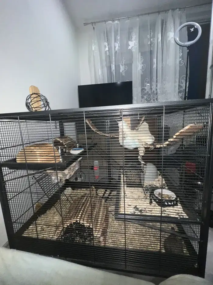 Klec + výbava