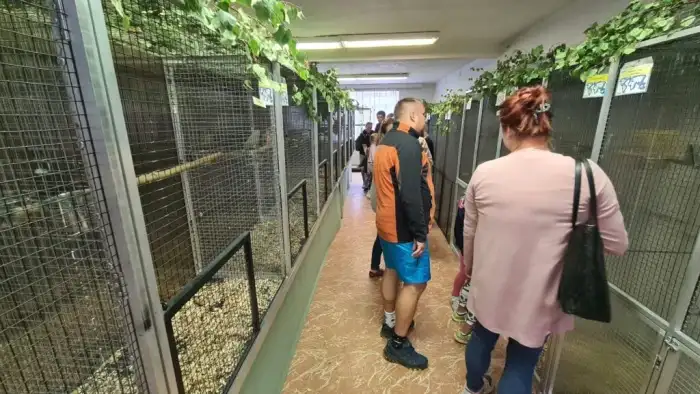 Prostory výstavy (Foto: Jan Potůček, Ararauna.cz)