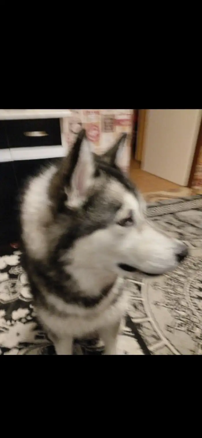 Matka