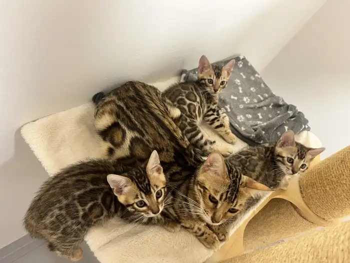 S maminkou a sourozenci