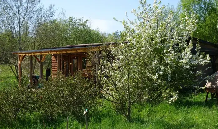 Rodný dům - CHS Čirá radost