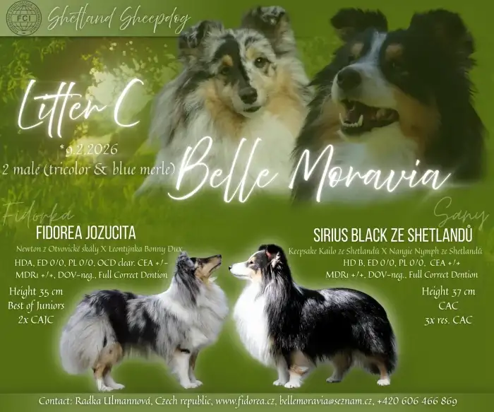 Rodiče štěňátek