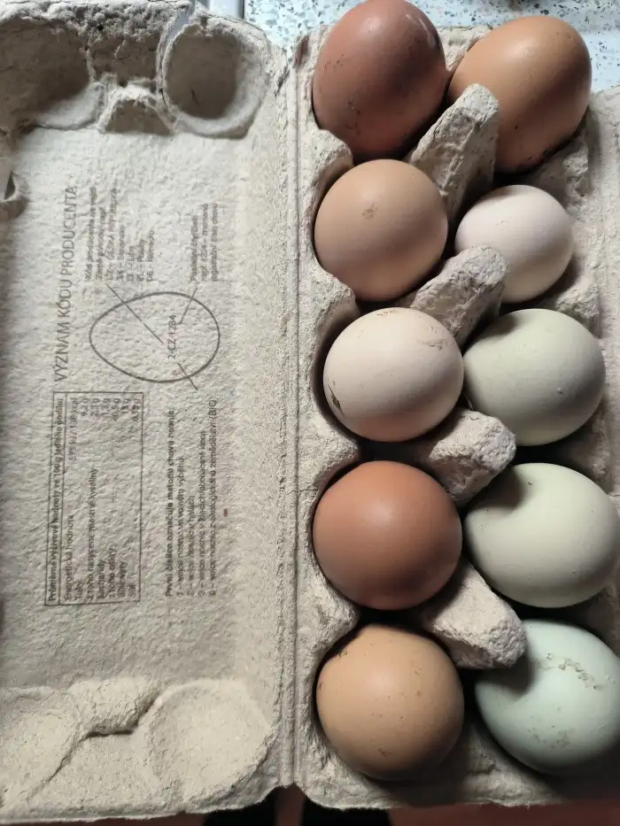 Domácí vajíčka