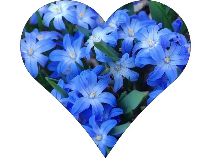 Ta je pro Tebe, pro radost.