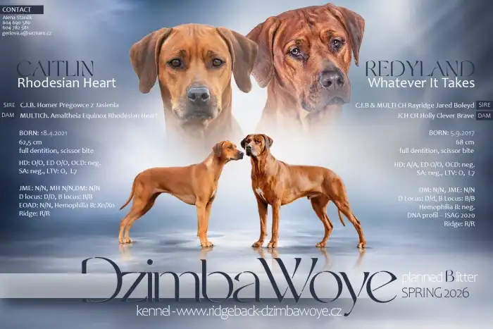 Informace o rodičích