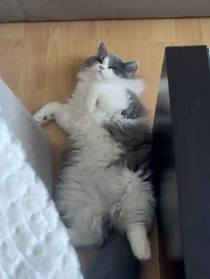 Aktuální foto