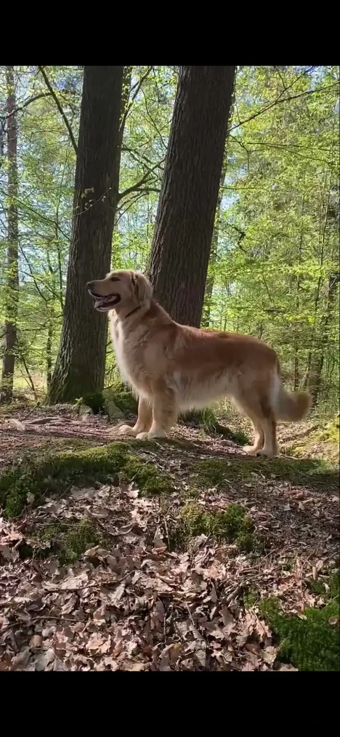 Matka
