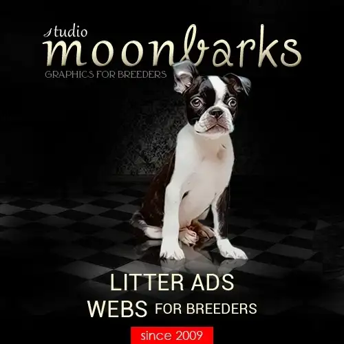 Moonbarks - grafika pro choatele od roku 2009