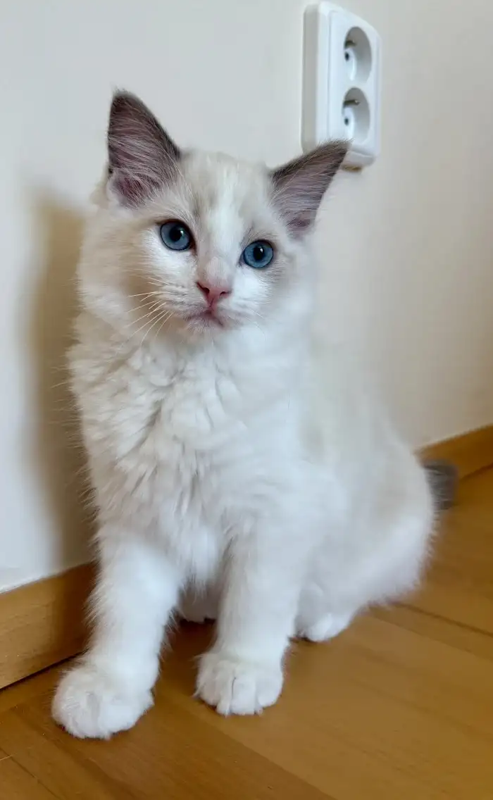 Charlie