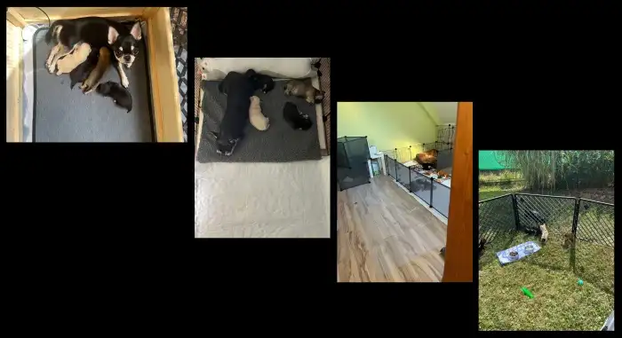 Tady jsme vyrůstali s mámou