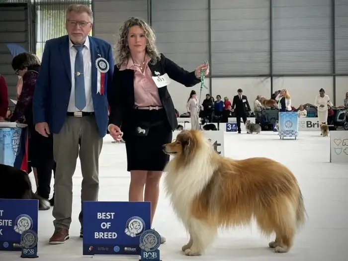 Tatínek Vítěz Evropské výstavy 2025 BOB