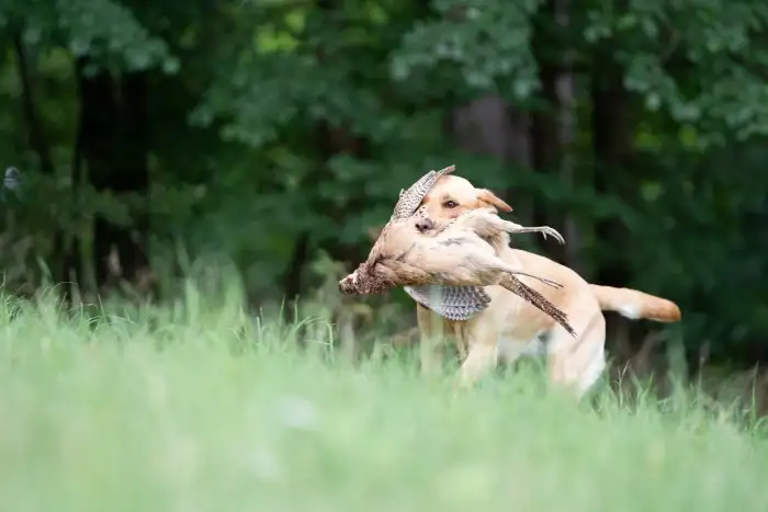 Masters of Water Tequila