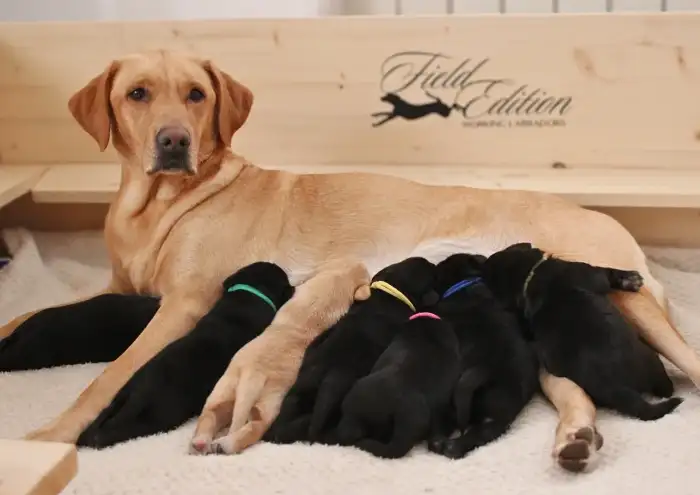 věk na fotce 12 dní