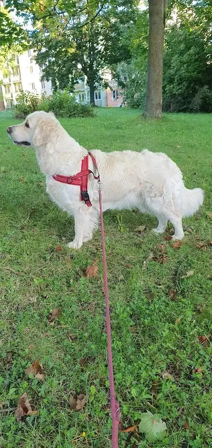 Oaklee pozoruje veverku