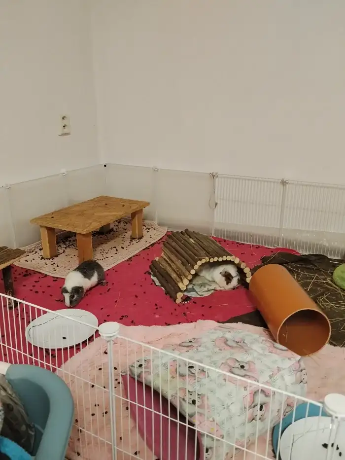 Vanilka pod mostem + Oreo