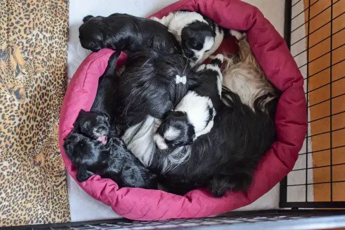 A není to nafukovací