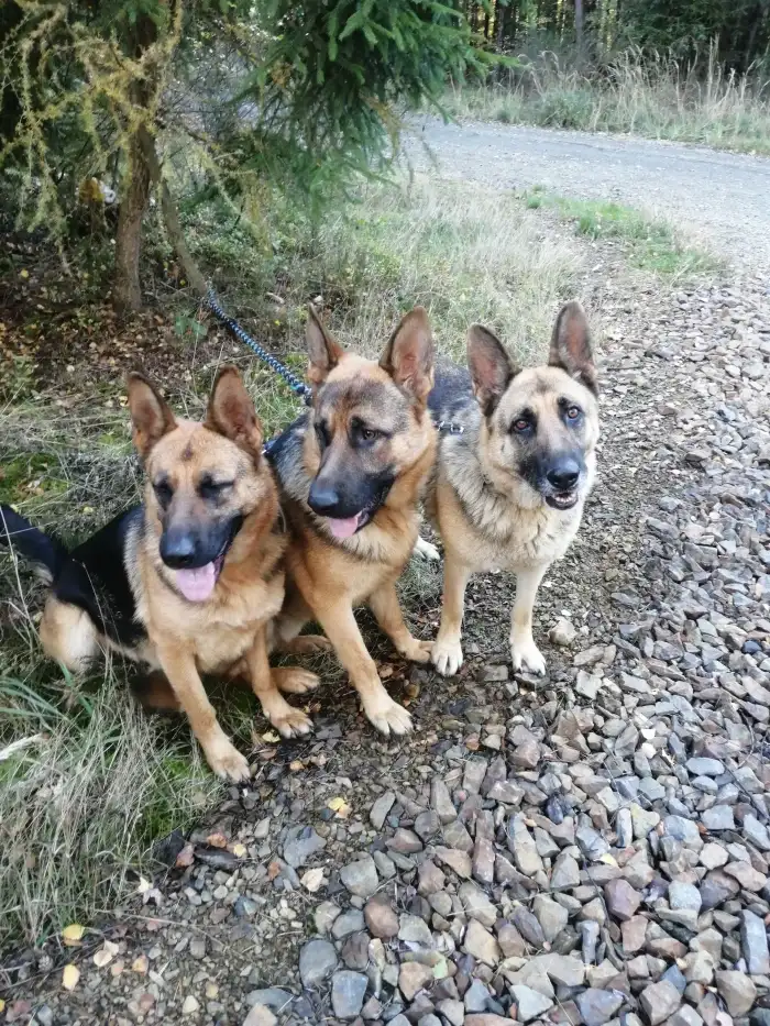 Otec, matka, babička