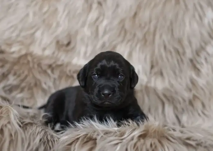 věk na fotce 3 týdny