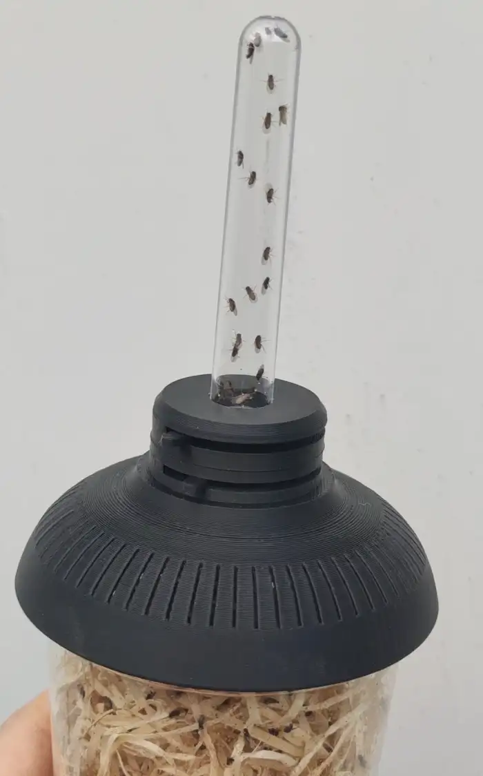 Dávkovač octomilek