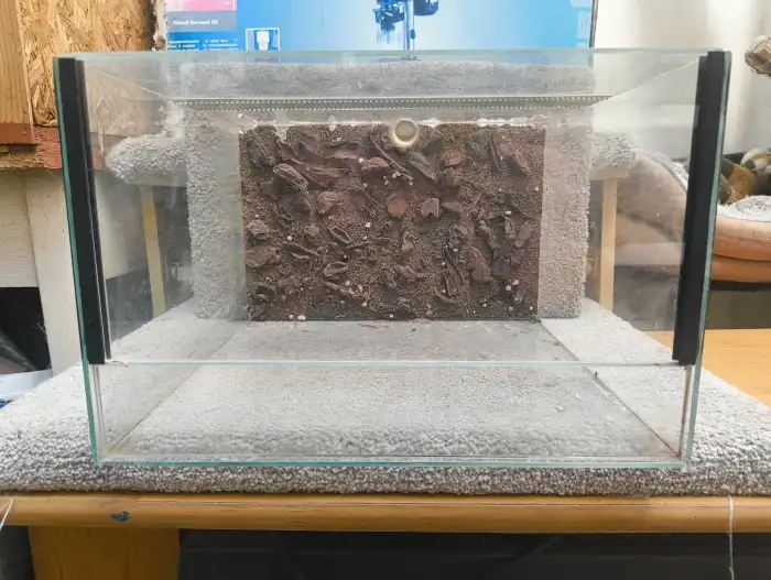 terarium 30/30/20