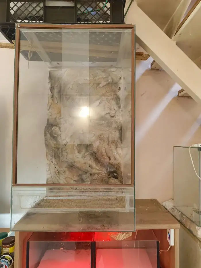 terarium 50/50/85