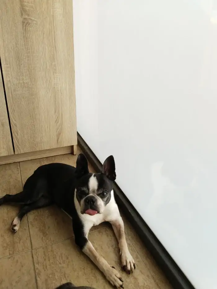 Amy❤️9let