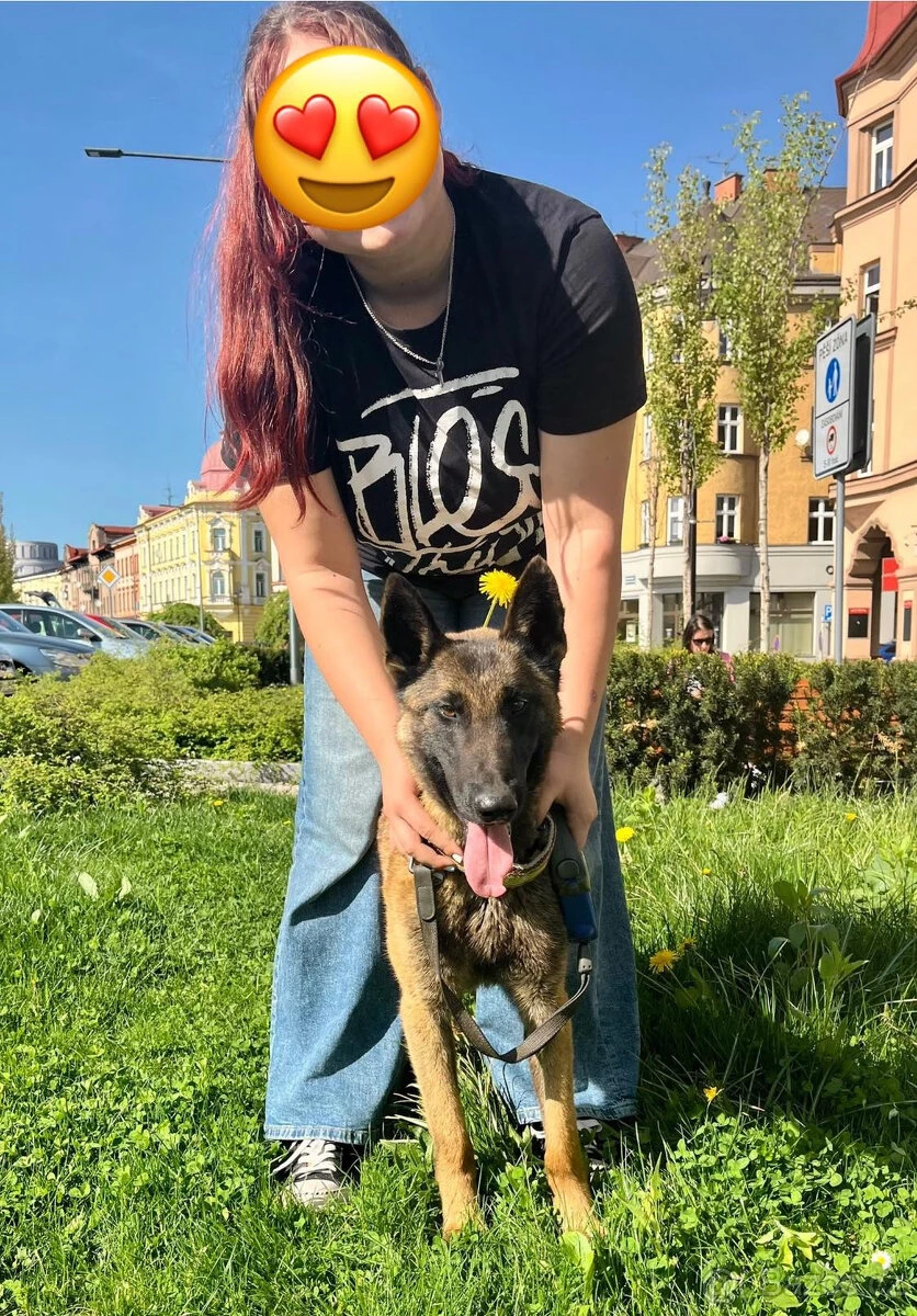 Skvělý parťák do nepohody