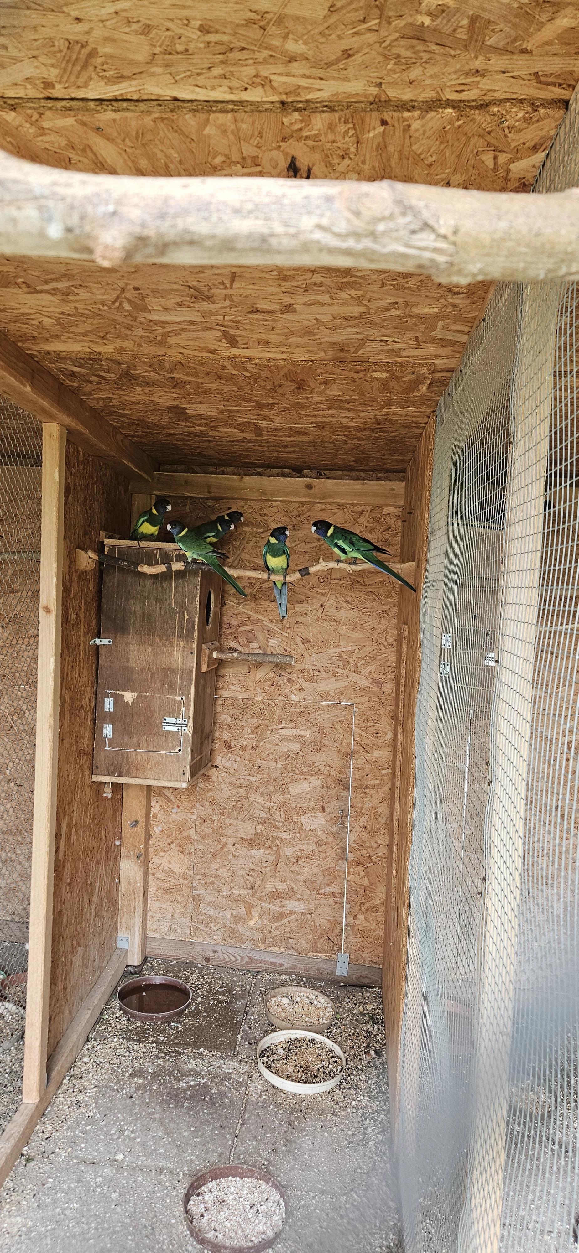 Barnard limcovy jižní