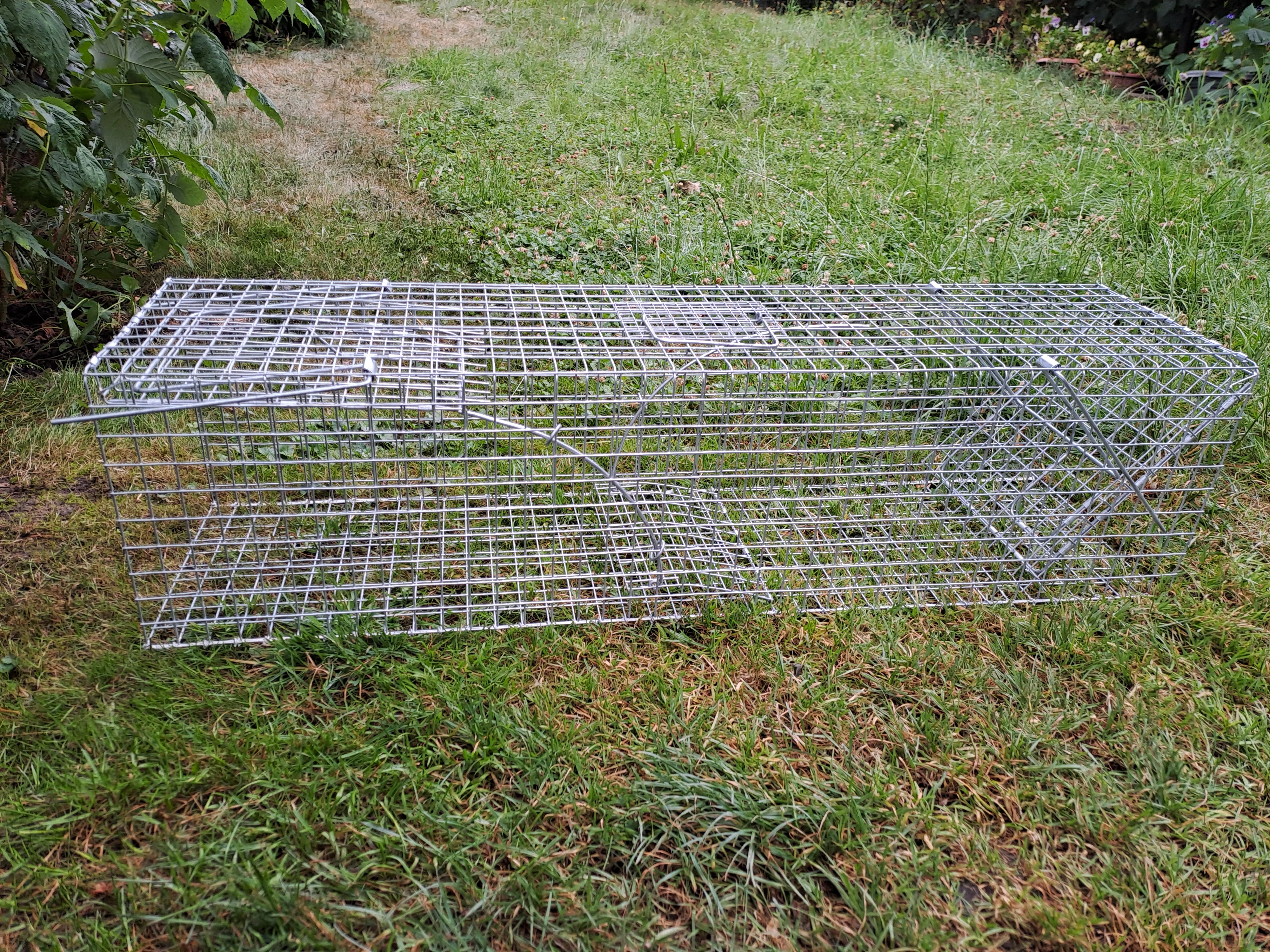 Pasti a sklopce na škodnou