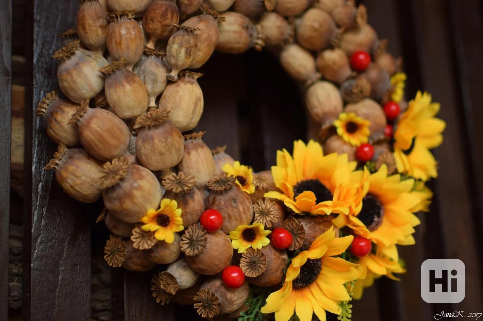 Prodám bílý a modrý mák....