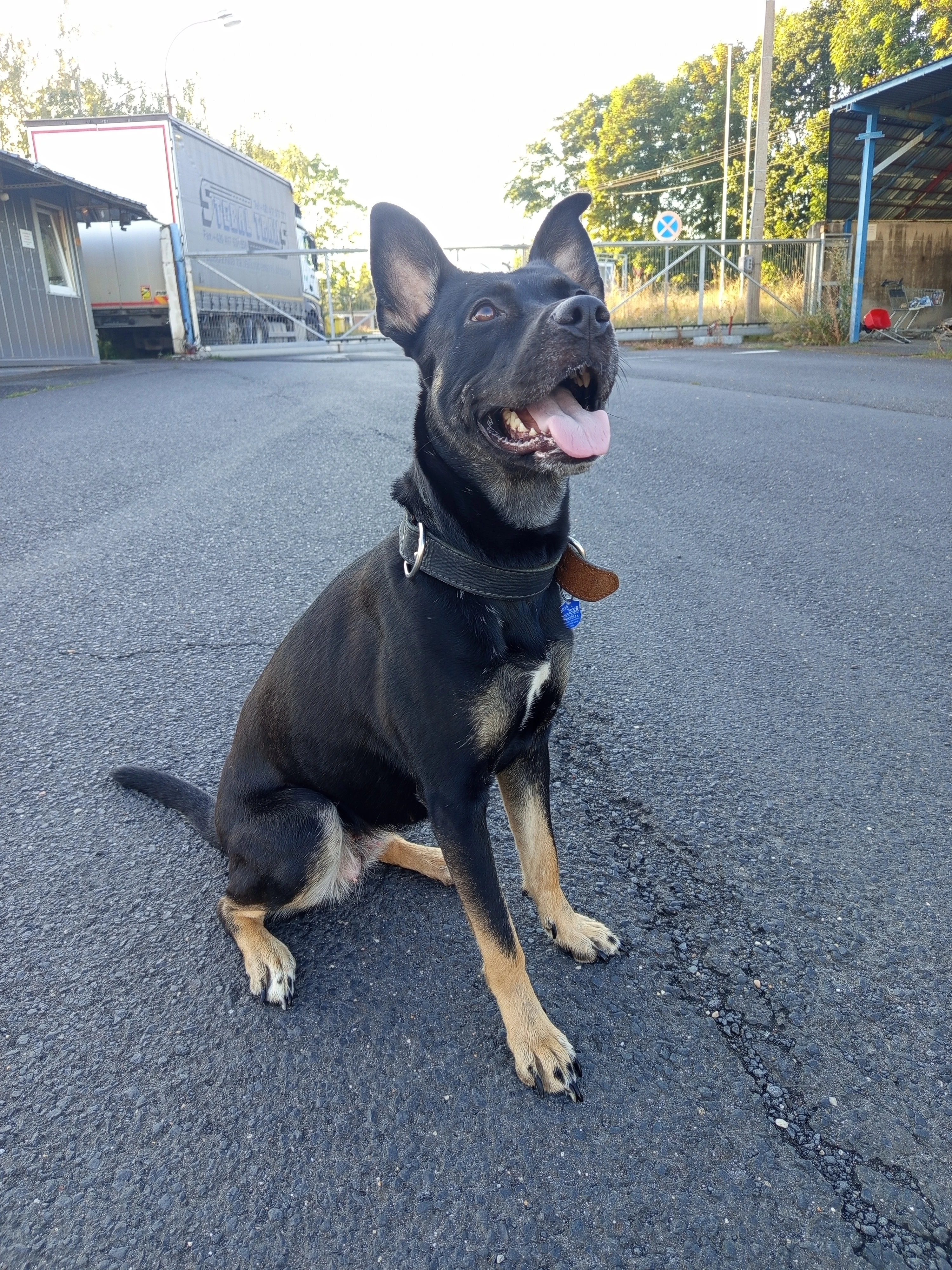 Věnuji do dobrých rukou